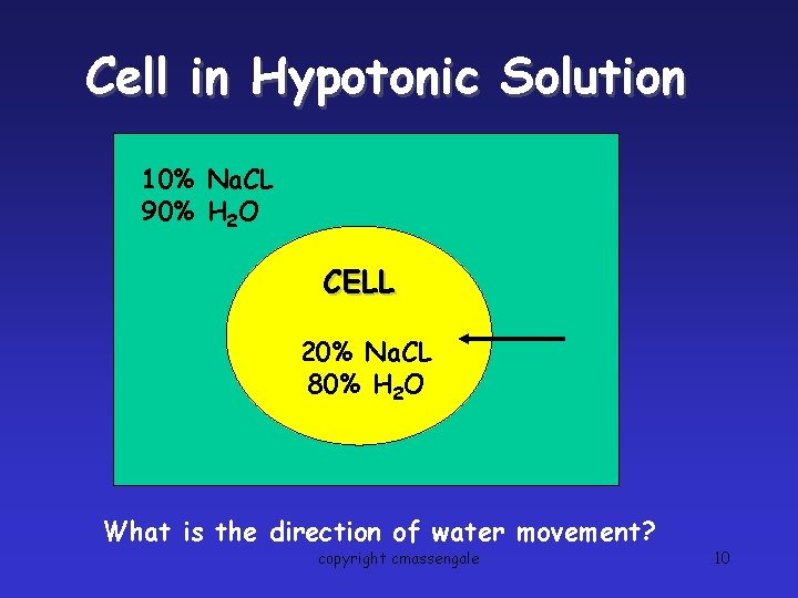 Cell in Hypotonic Solution 10% Na. CL 90% H 2 O CELL 20% Na.