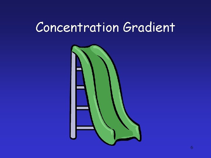 Concentration Gradient 6 