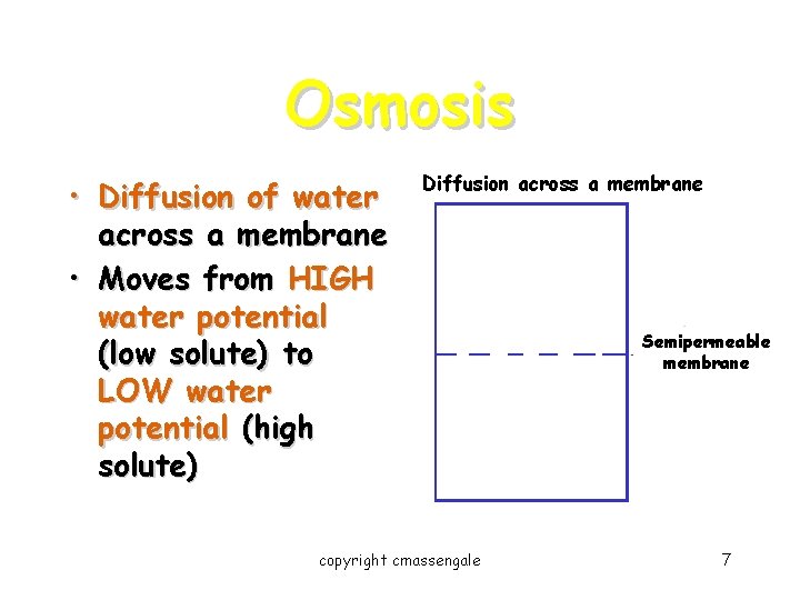 Osmosis • Diffusion of water across a membrane • Moves from HIGH water potential