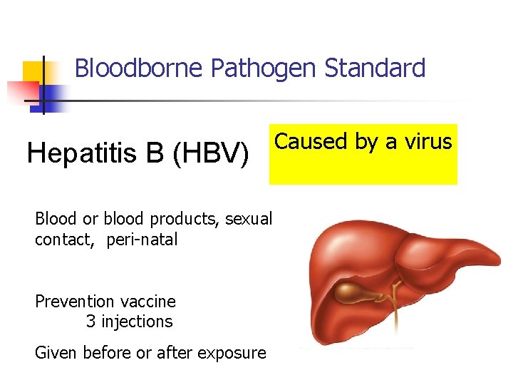 Bloodborne Pathogen Standard Hepatitis B (HBV) Blood or blood products, sexual contact, peri-natal Prevention