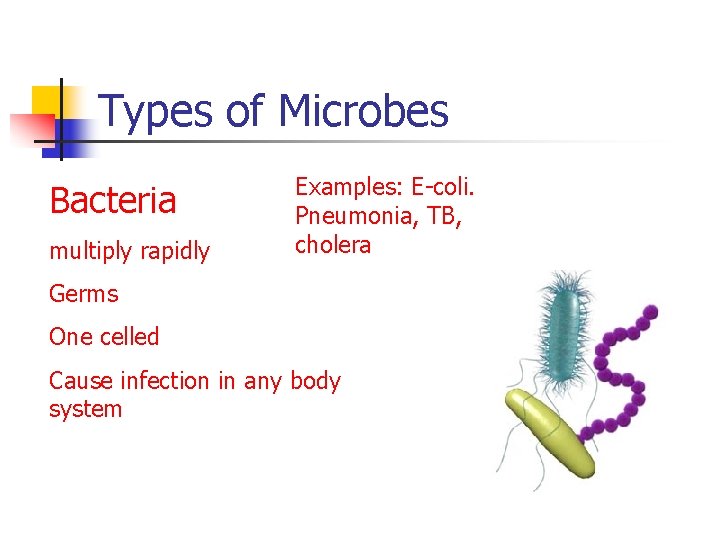 Types of Microbes Bacteria multiply rapidly Examples: E-coli. Pneumonia, TB, cholera Germs One celled