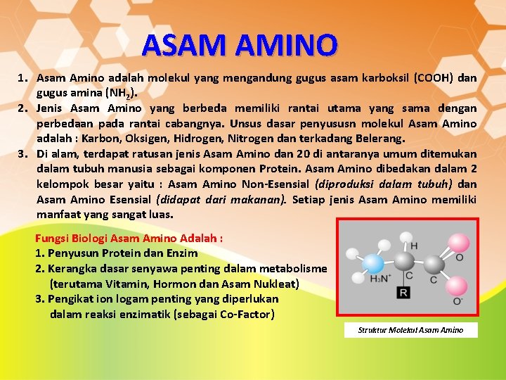 ASAM AMINO 1. Asam Amino adalah molekul yang mengandung gugus asam karboksil (COOH) dan