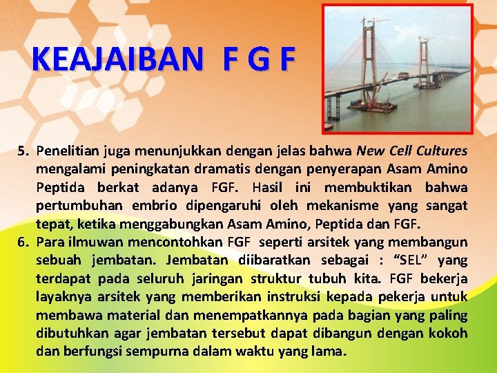 KEAJAIBAN F G F 5. Penelitian juga menunjukkan dengan jelas bahwa New Cell Cultures