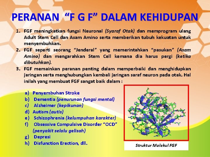 PERANAN “F G F” DALAM KEHIDUPAN 1. FGF meningkatkan fungsi Neuronal (Syaraf Otak) dan