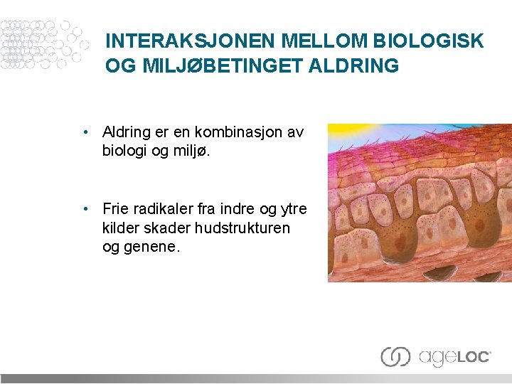 INTERAKSJONEN MELLOM BIOLOGISK OG MILJØBETINGET ALDRING • Aldring er en kombinasjon av biologi og