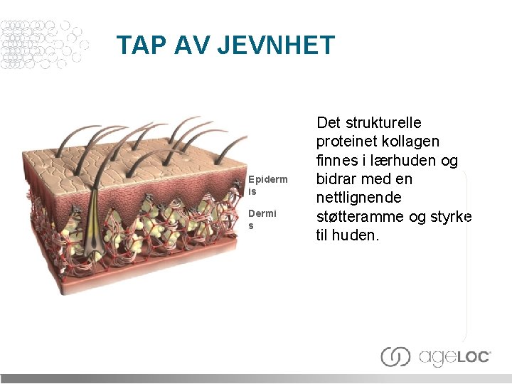 TAP AV JEVNHET Epiderm is Dermi s Det strukturelle proteinet kollagen finnes i lærhuden