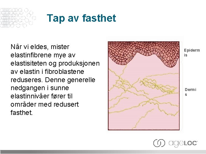 Tap av fasthet Når vi eldes, mister elastinfibrene mye av elastisiteten og produksjonen av