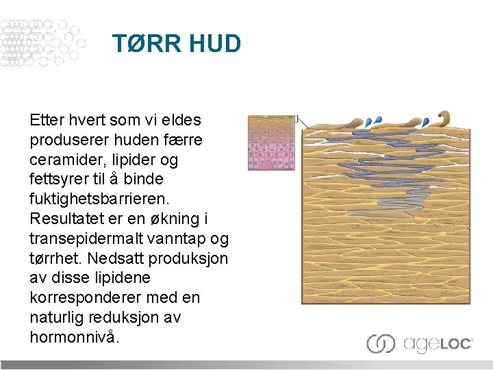 TØRR HUD Etter hvert som vi eldes produserer huden færre ceramider, lipider og fettsyrer