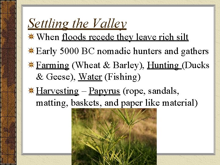 Settling the Valley When floods recede they leave rich silt Early 5000 BC nomadic