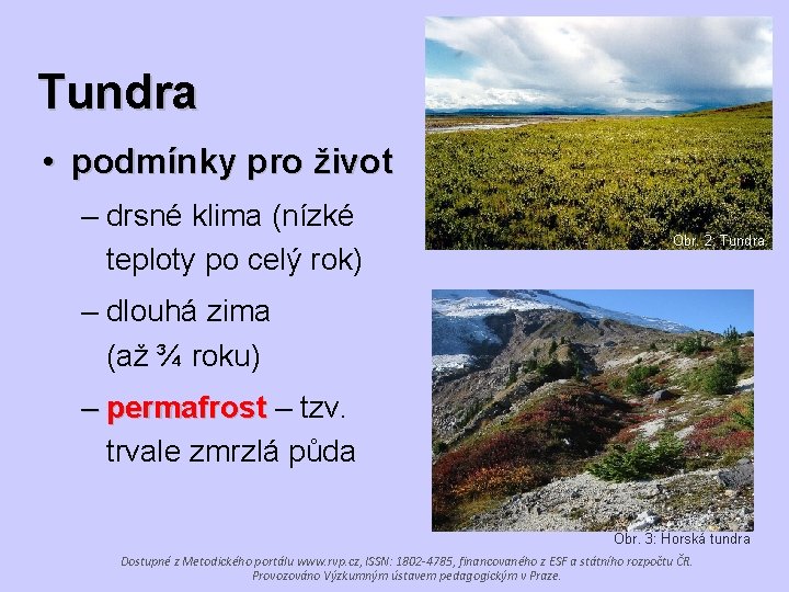 Tundra • podmínky pro život – drsné klima (nízké teploty po celý rok) Obr.