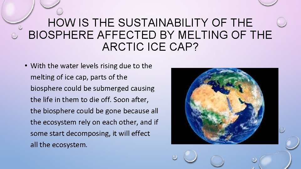 HOW IS THE SUSTAINABILITY OF THE BIOSPHERE AFFECTED BY MELTING OF THE ARCTIC ICE