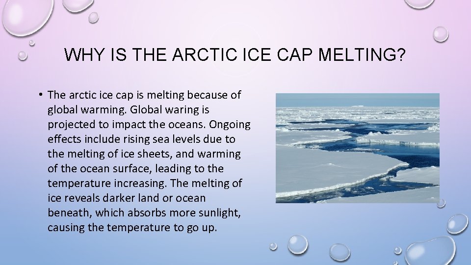 WHY IS THE ARCTIC ICE CAP MELTING? • The arctic ice cap is melting