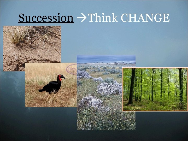 Succession Think CHANGE 