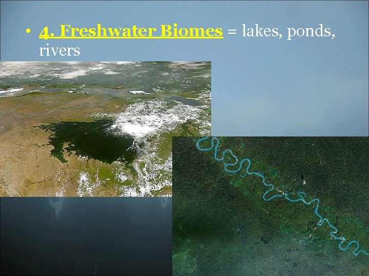  • 4. Freshwater Biomes = lakes, ponds, rivers 