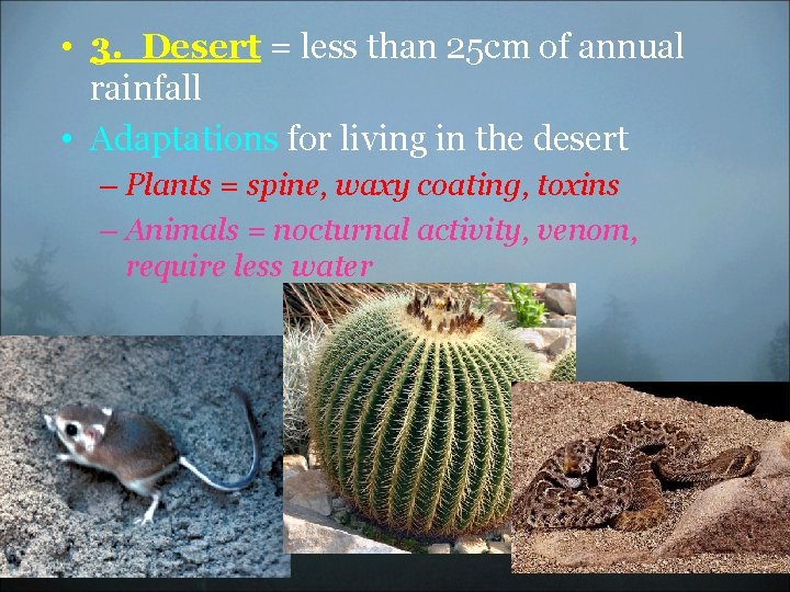  • 3. Desert = less than 25 cm of annual rainfall • Adaptations