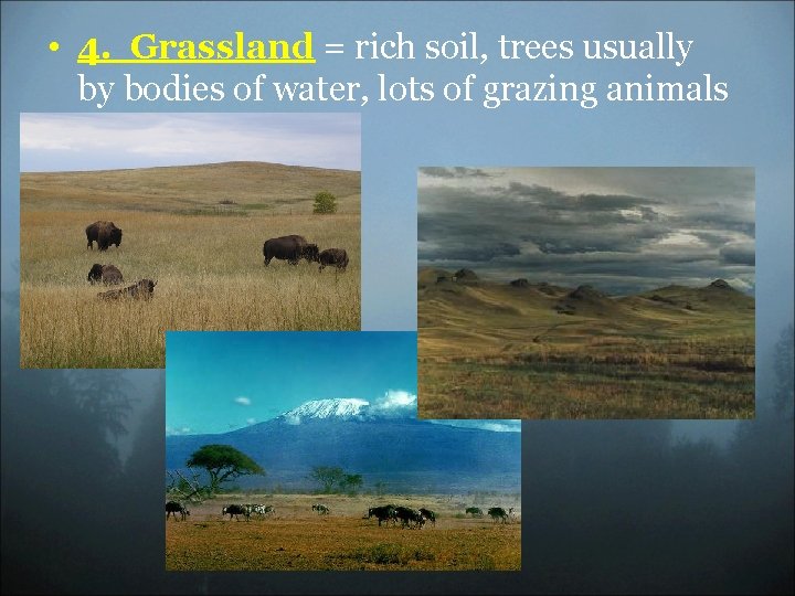  • 4. Grassland = rich soil, trees usually by bodies of water, lots