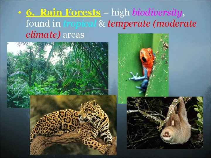  • 6. Rain Forests = high biodiversity, found in tropical & temperate (moderate