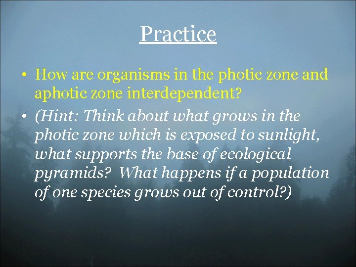 Practice • How are organisms in the photic zone and aphotic zone interdependent? •