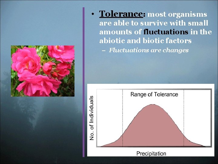  • Tolerance: most organisms are able to survive with small amounts of fluctuations