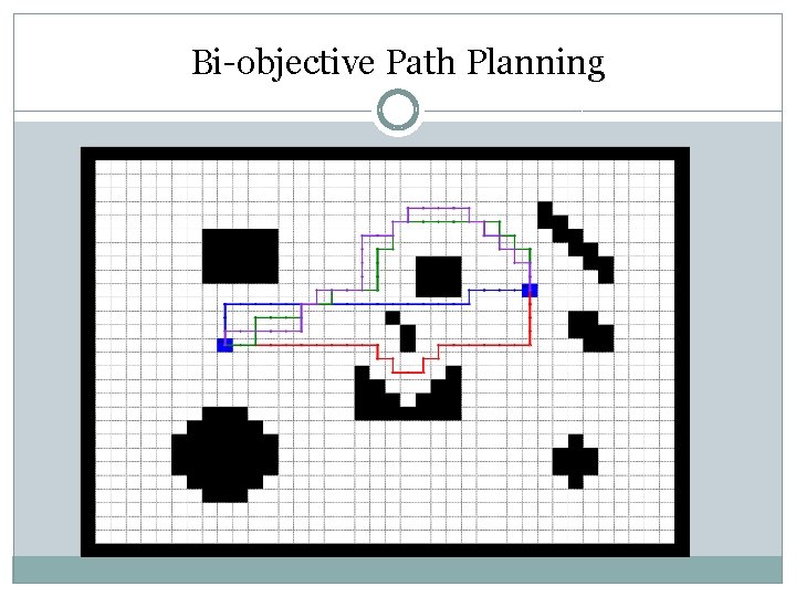 Bi-objective Path Planning 