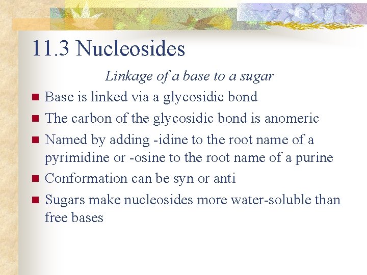 11. 3 Nucleosides n n n Linkage of a base to a sugar Base