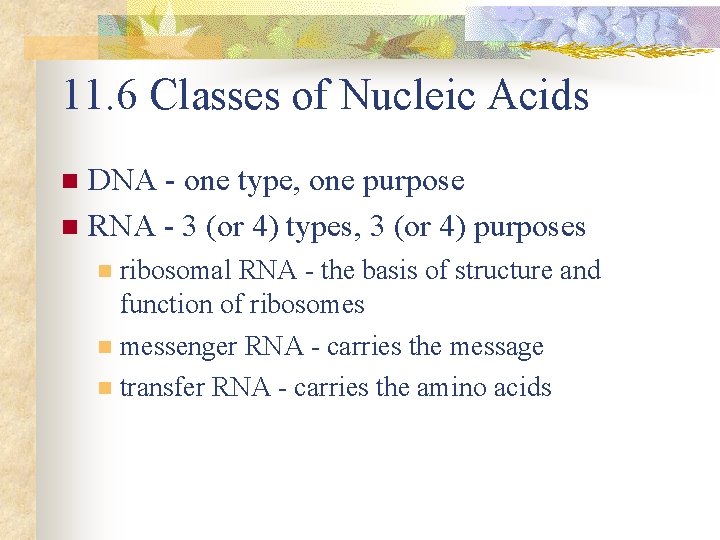 11. 6 Classes of Nucleic Acids DNA - one type, one purpose n RNA