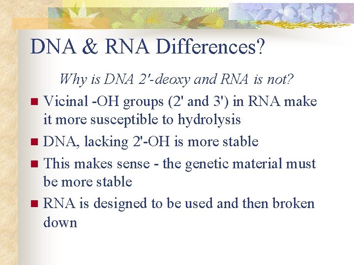 DNA & RNA Differences? Why is DNA 2'-deoxy and RNA is not? n Vicinal