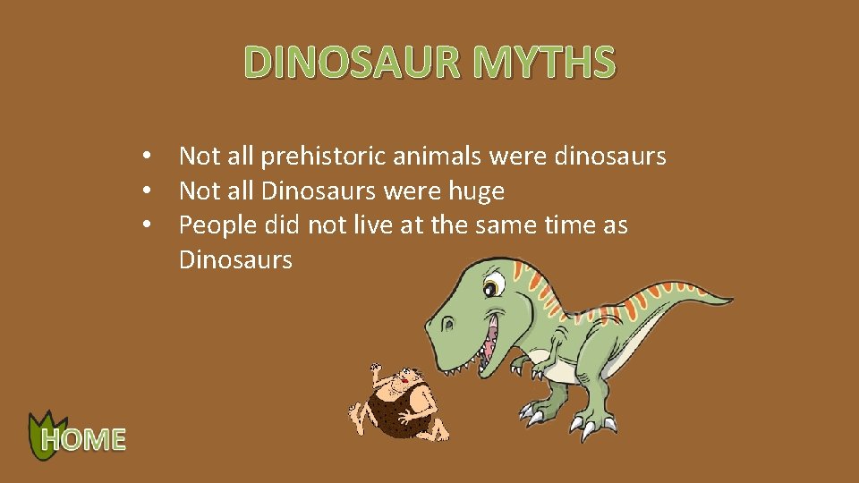 DINOSAUR MYTHS • Not all prehistoric animals were dinosaurs • Not all Dinosaurs were