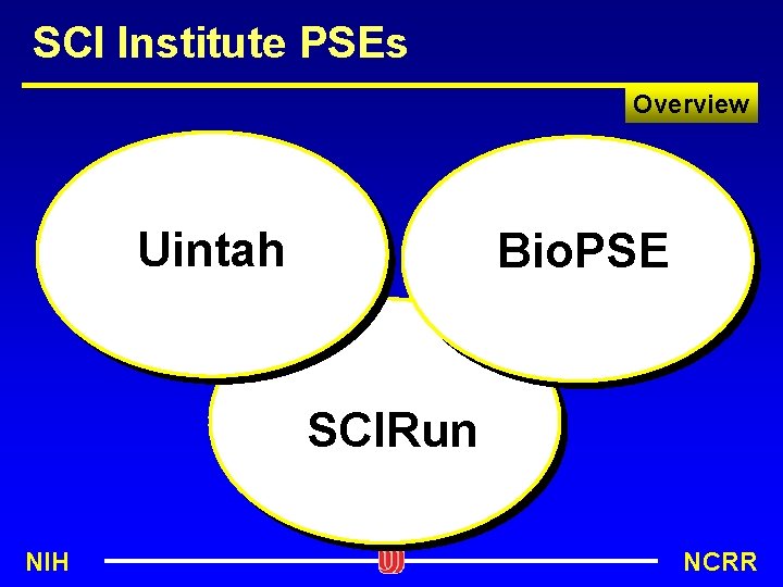 SCI Institute PSEs Overview Uintah Bio. PSE SCIRun NIH NCRR 