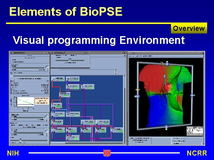 Elements of Bio. PSE Overview Visual programming Environment NIH NCRR 