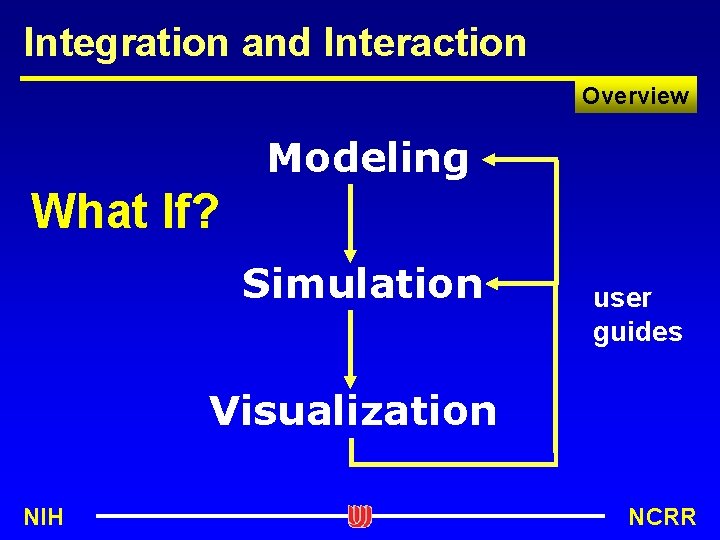 Integration and Interaction Overview Modeling What If? Simulation user guides Visualization NIH NCRR 