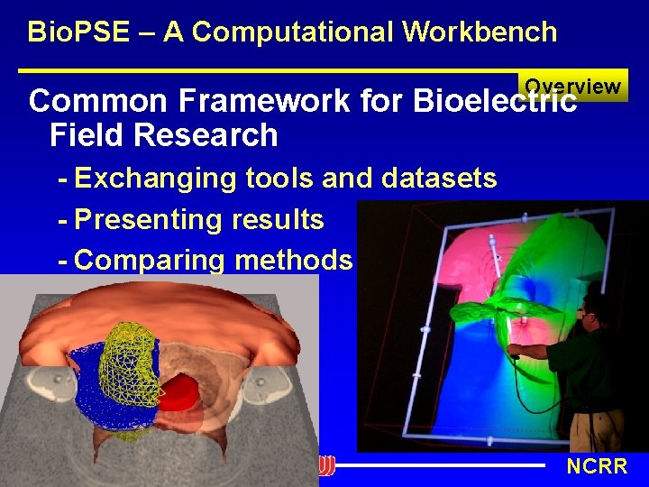 Bio. PSE – A Computational Workbench Overview Common Framework for Bioelectric Field Research -