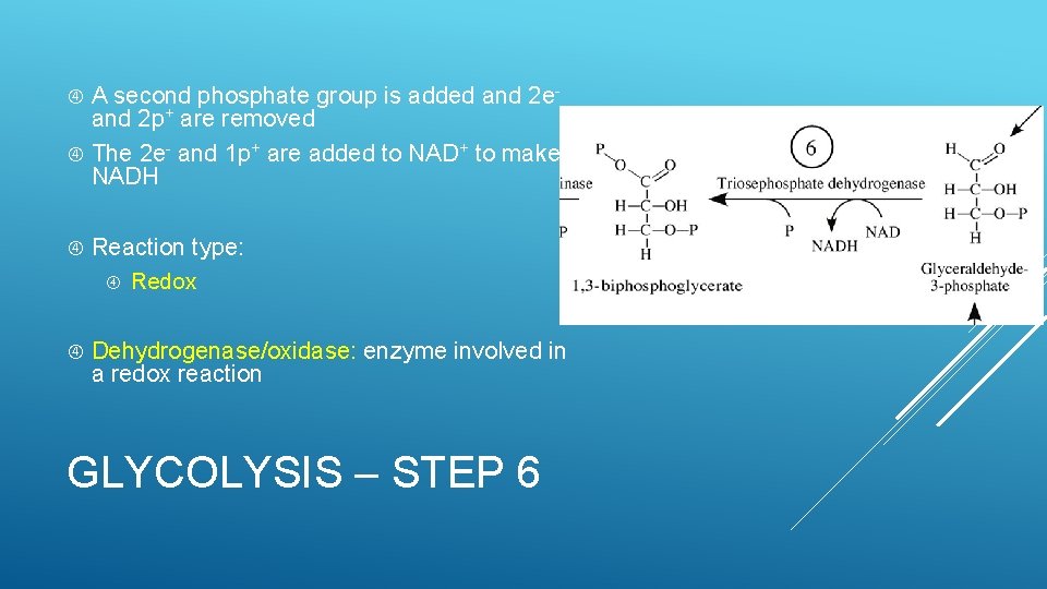 A second phosphate group is added and 2 eand 2 p+ are removed The