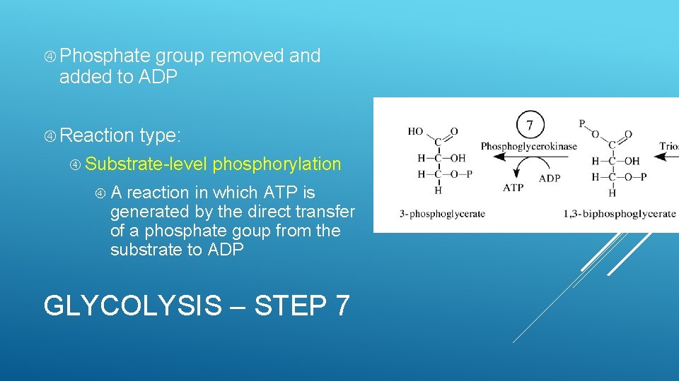  Phosphate group removed and added to ADP Reaction type: Substrate-level phosphorylation A reaction