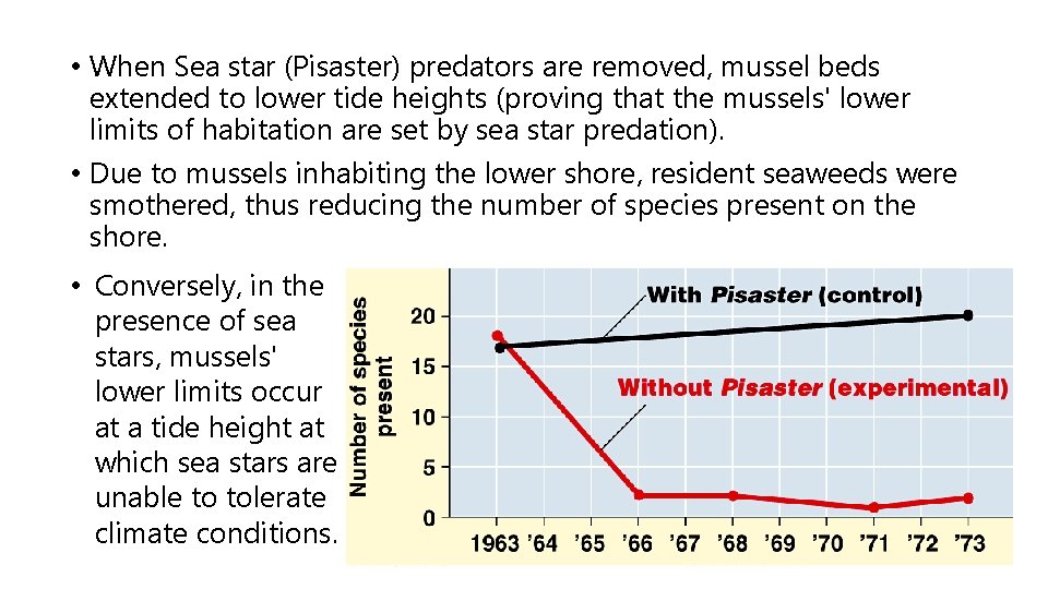  • When Sea star (Pisaster) predators are removed, mussel beds extended to lower