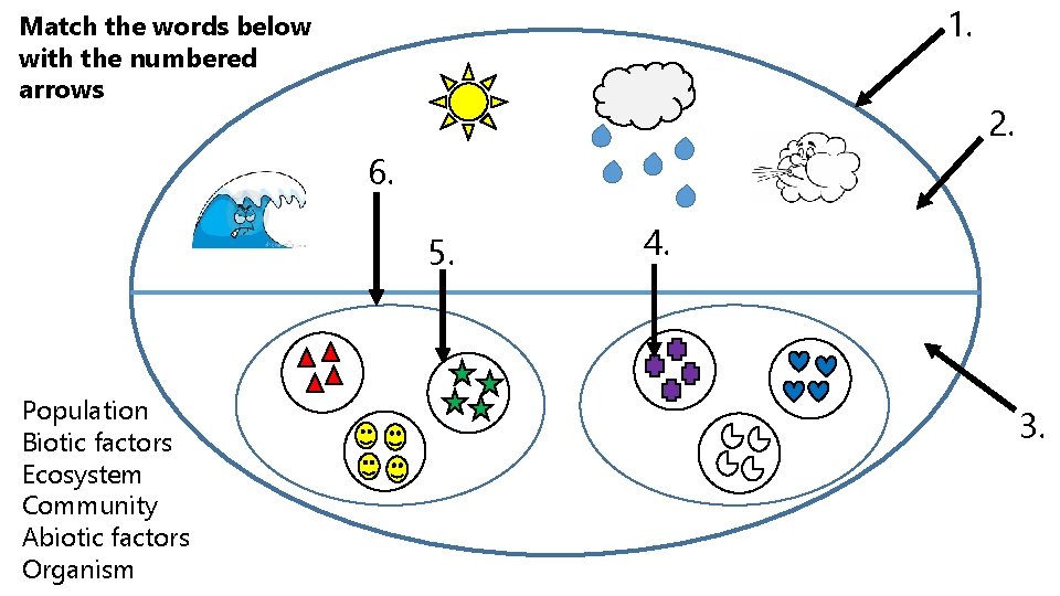 1. Match the words below with the numbered arrows 2. 6. 5. Population Biotic