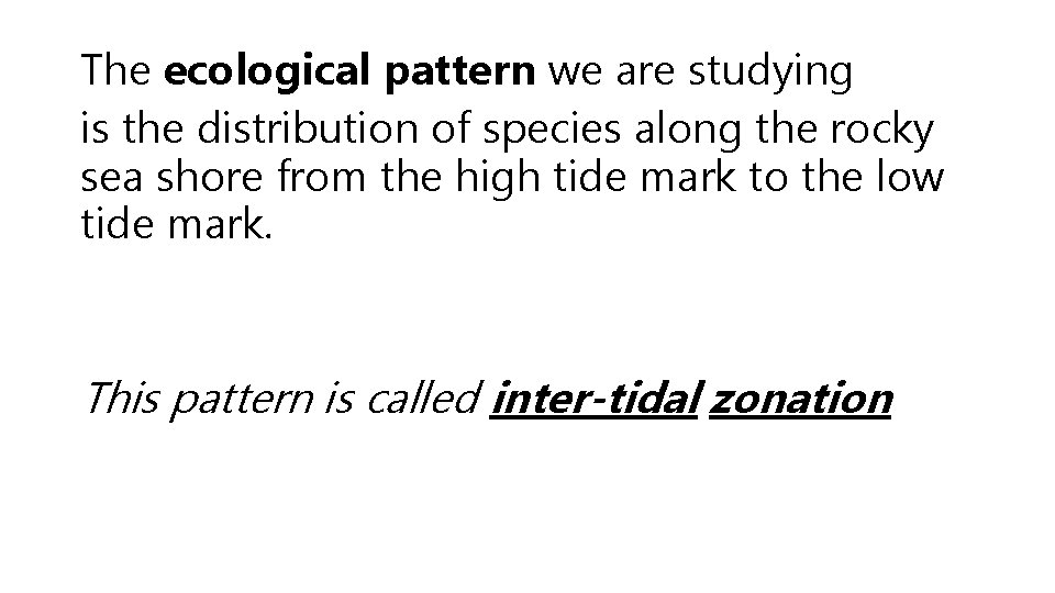 The ecological pattern we are studying is the distribution of species along the rocky
