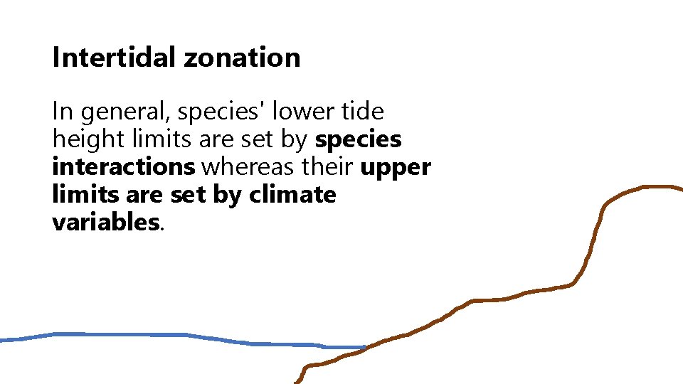 Intertidal zonation In general, species' lower tide height limits are set by species interactions