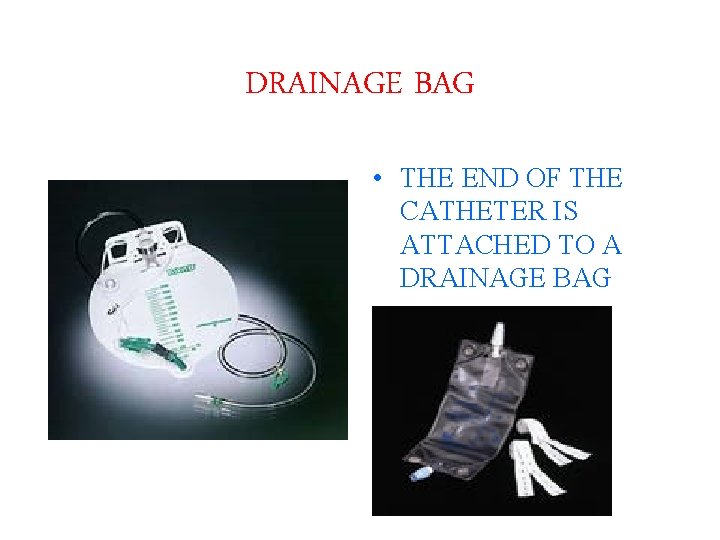 DRAINAGE BAG • THE END OF THE CATHETER IS ATTACHED TO A DRAINAGE BAG