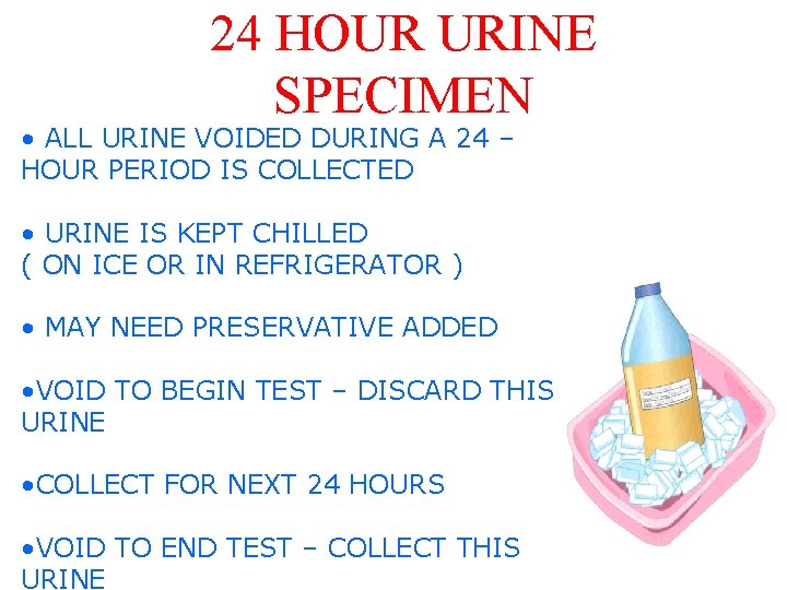 24 HOUR URINE SPECIMEN • ALL URINE VOIDED DURING A 24 – HOUR PERIOD
