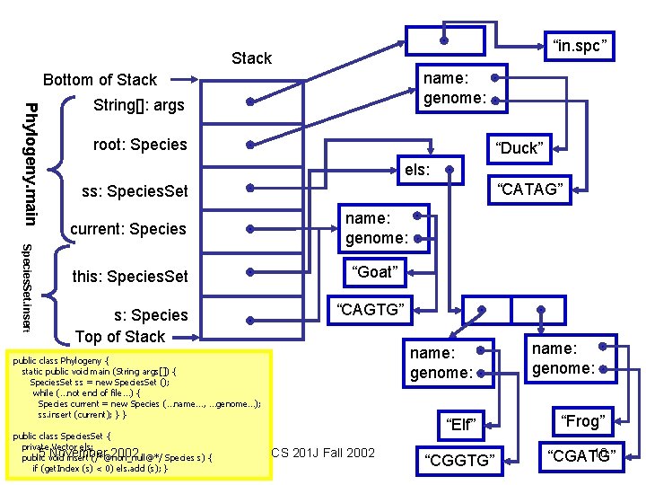 “in. spc” Stack name: genome: Bottom of Stack Phylogeny. main String[]: args root: Species