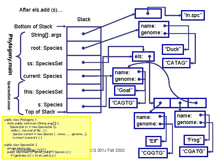 After els. add (s)… “in. spc” Stack name: genome: Bottom of Stack Phylogeny. main