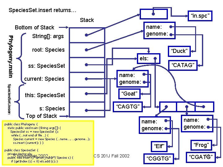 Species. Set. insert returns… “in. spc” Stack name: genome: Bottom of Stack Phylogeny. main