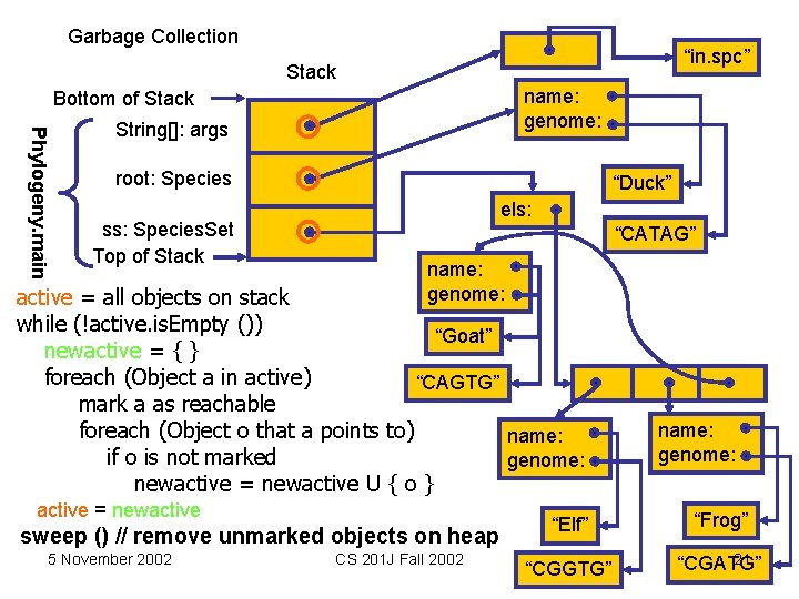 Garbage Collection “in. spc” Stack name: genome: Bottom of Stack Phylogeny. main String[]: args