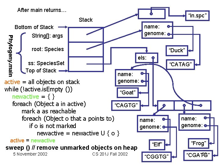 After main returns… “in. spc” Stack name: genome: Bottom of Stack Phylogeny. main String[]: