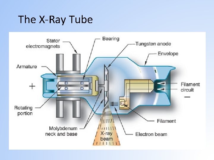 Chapter 4 Diagnostic XRay Production Learning Objectives Chapter