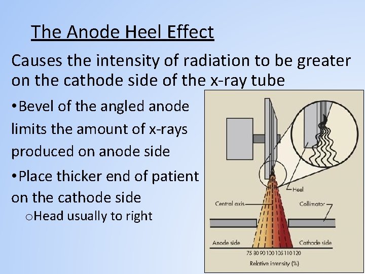 The Anode Heel Effect Causes the intensity of radiation to be greater on the