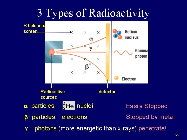 3 Types of Radioactivity B field into screen detector Radioactive sources a particles: nuclei