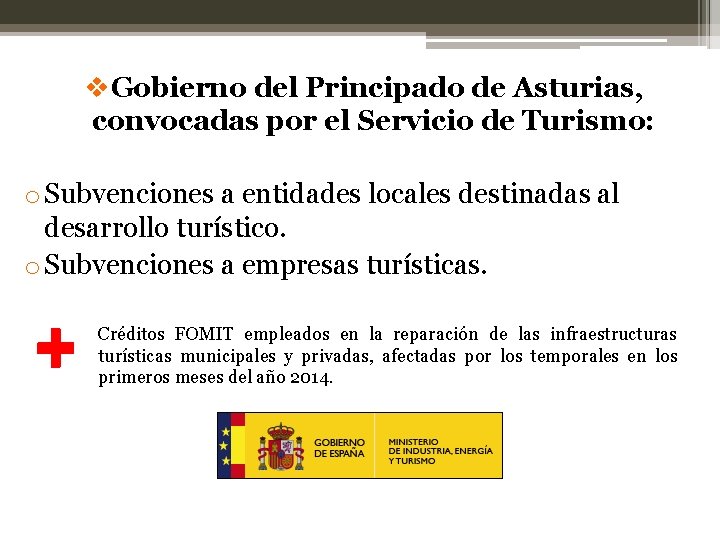 v. Gobierno del Principado de Asturias, convocadas por el Servicio de Turismo: o Subvenciones