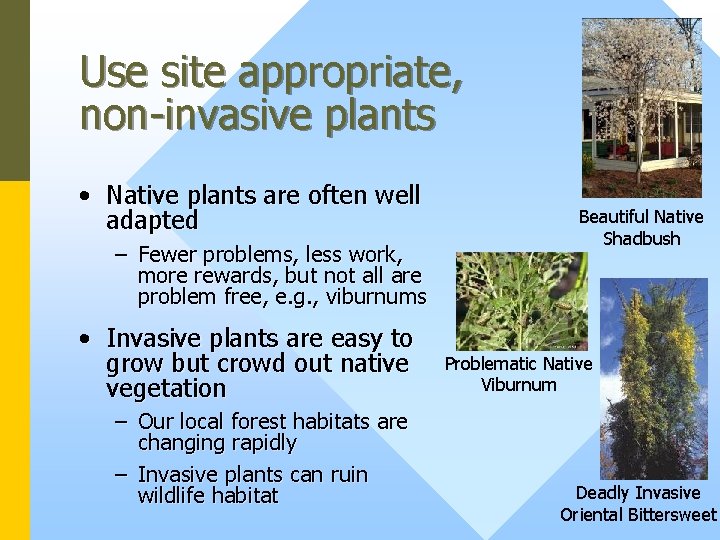 Use site appropriate, non-invasive plants • Native plants are often well adapted – Fewer